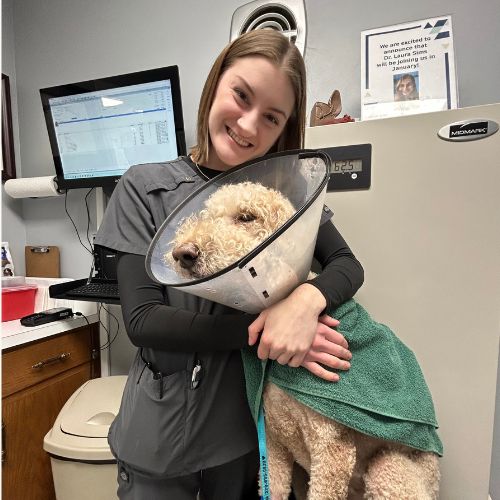 a person holding a dog with a cast on its leg